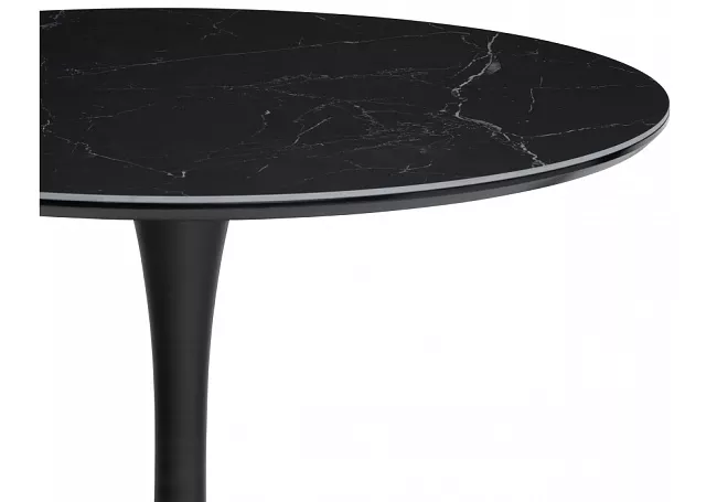 фото Обеденный стол Тулип №4