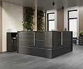 ресепшн Onix Anthracite