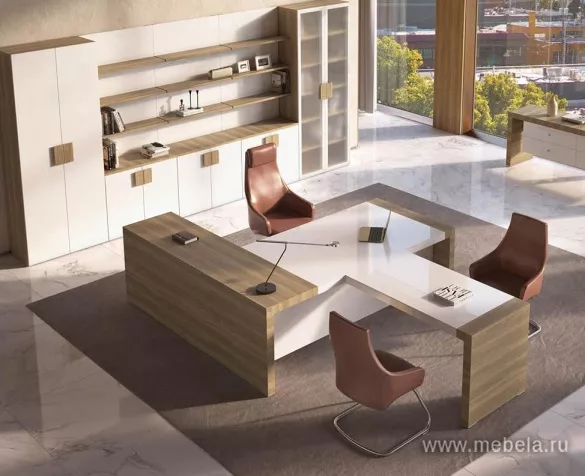 кабинет Kyu DM +