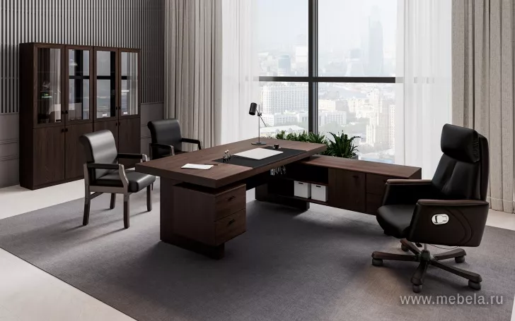 кабинет директора Сидней