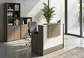 стойка ресепшн Style Elm