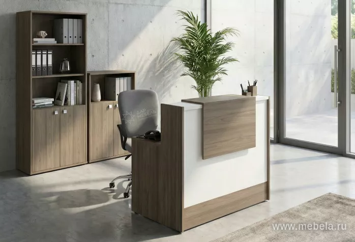 стойка ресепшн Style Elm