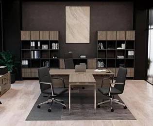 фото кабинет Проджект Люкс Вяз  №2