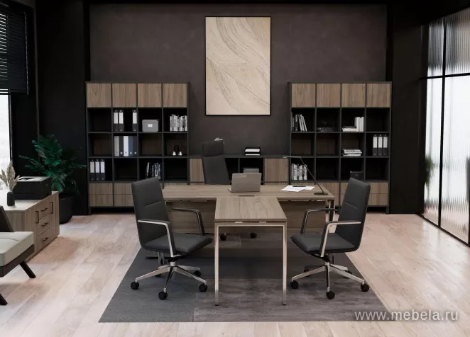 кабинет Project Lux Elm