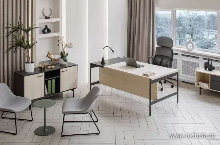 кабинет директора Ring