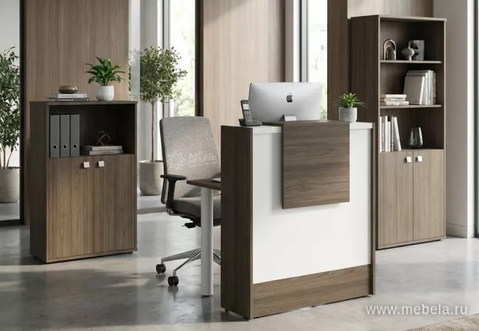 стойка ресепшн Style Elm