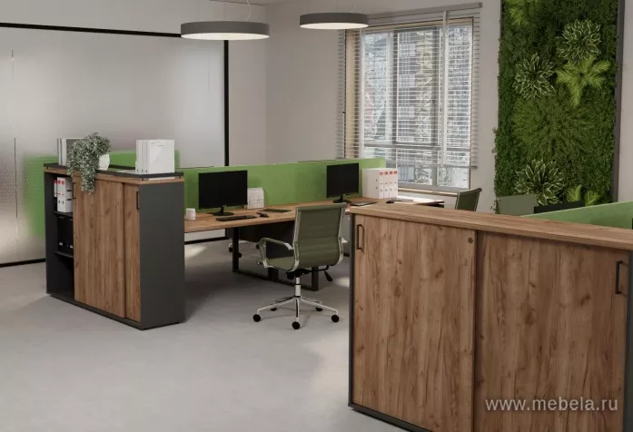 мебель Проджект Дуб