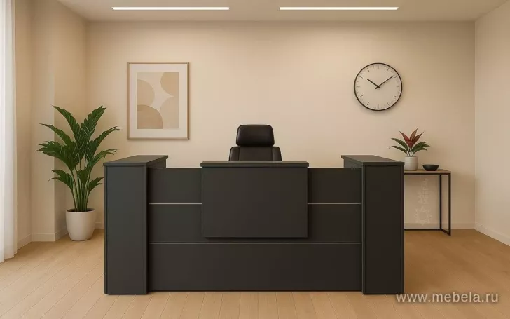 ресепшн Onix Anthracite