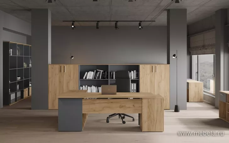 кабинет Зион New