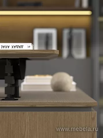 Кабинет руководителя Ион