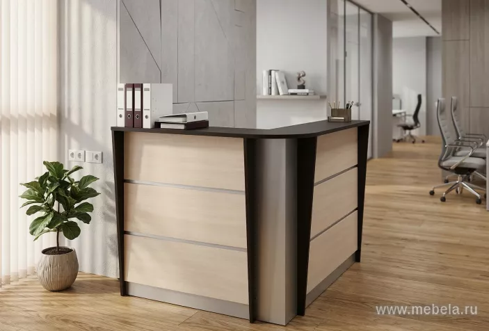 ресепшн Рапид Дуб