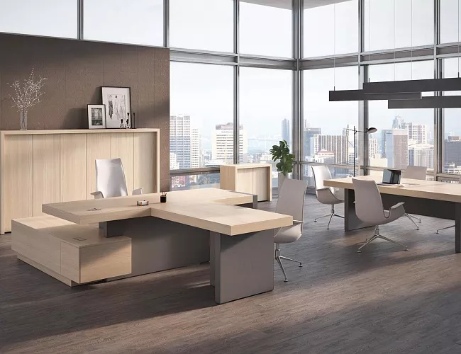 фото кабинет руководителя Эра №2