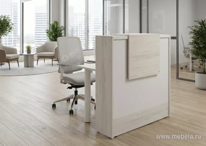 ресепшн Style Dub