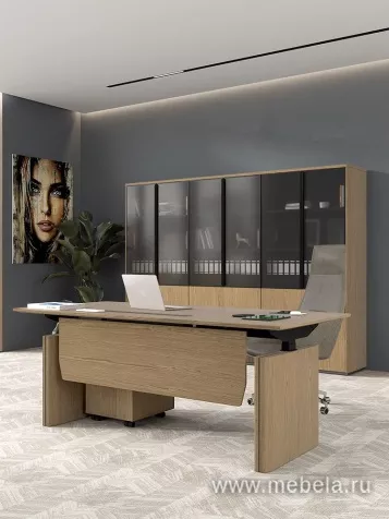 Кабинет руководителя Ион