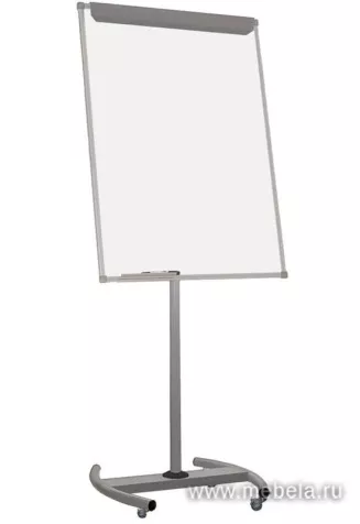 Флипчарт DR-170248