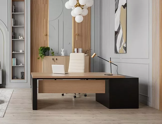 фото кабинет Ренц Лайт №2