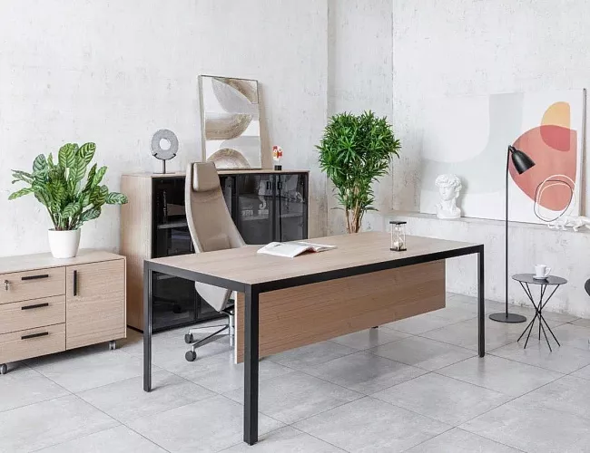 фото кабинет Enzo Black