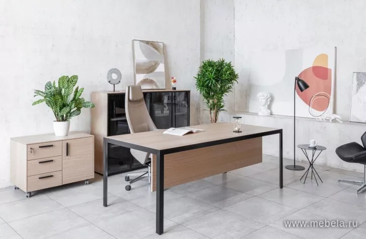 кабинет Enzo Black