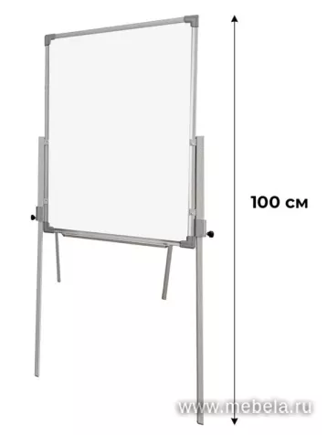 Флипчарт DR-1132994
