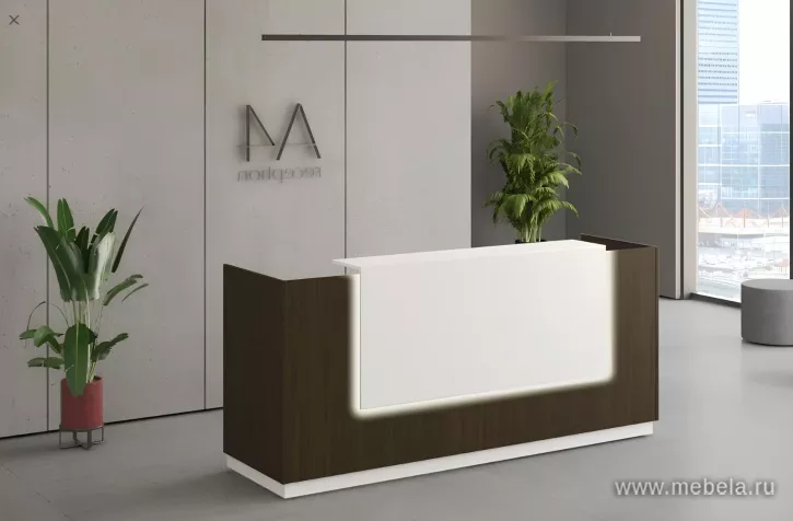 стойка ресепшн A4
