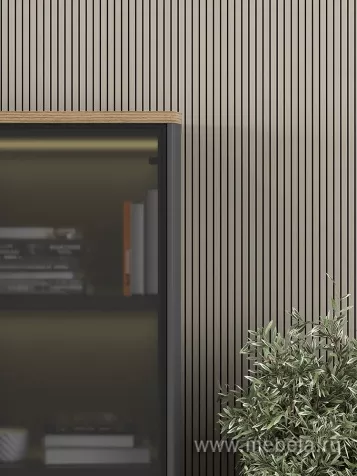 Кабинет руководителя Ион