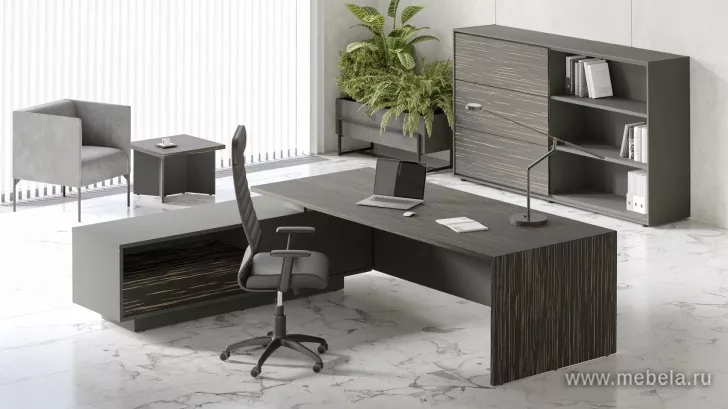 мебель руководителя Dali