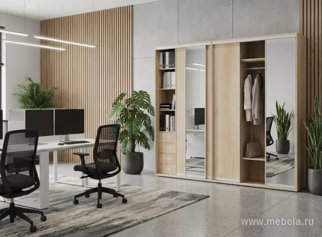 Шкафы-Купе Maris A