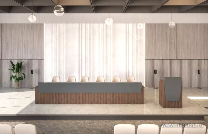 стойка ресепшн Speech