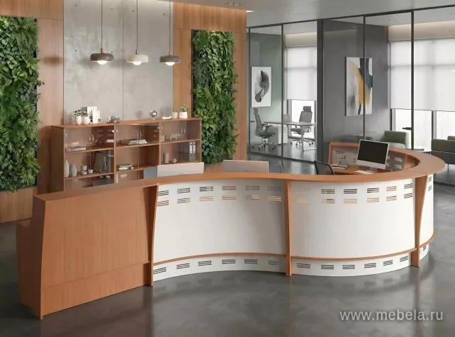 ресепшн Формула