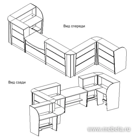 ресепшн Рапид Дуб