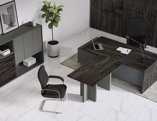 фото мебель руководителя Дали №2