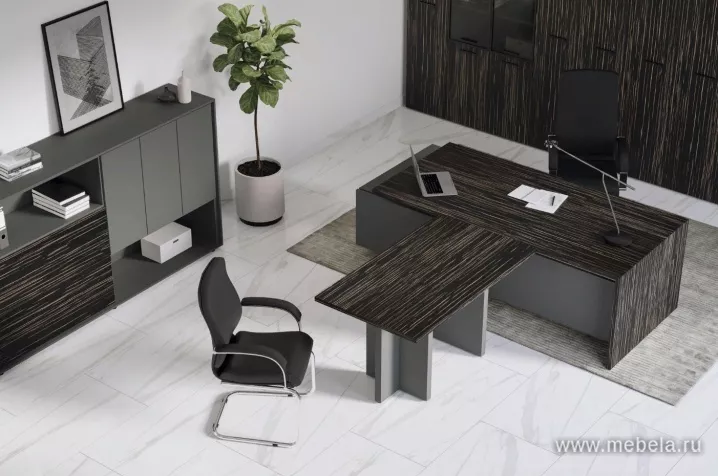 мебель руководителя Dali