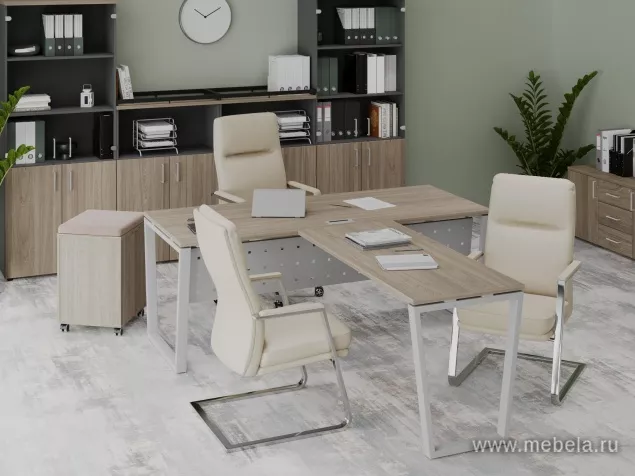 кабинет Project Elm T