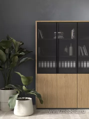 Кабинет руководителя Ион