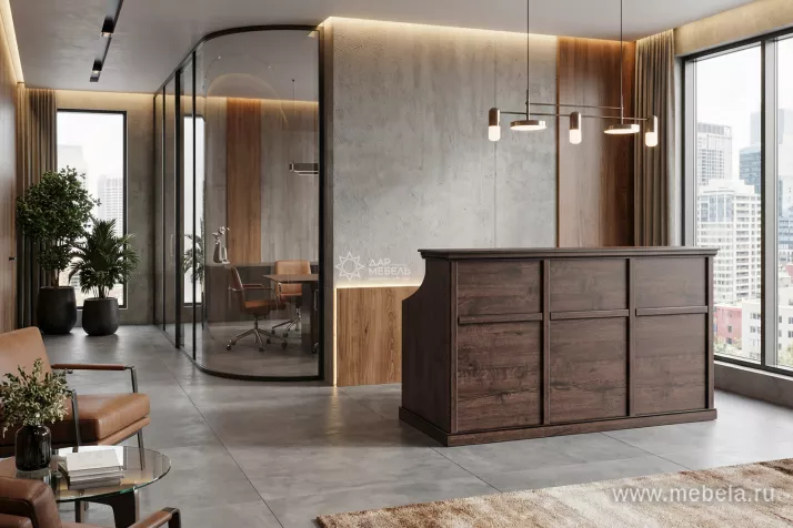 ресепшн Bern Dub