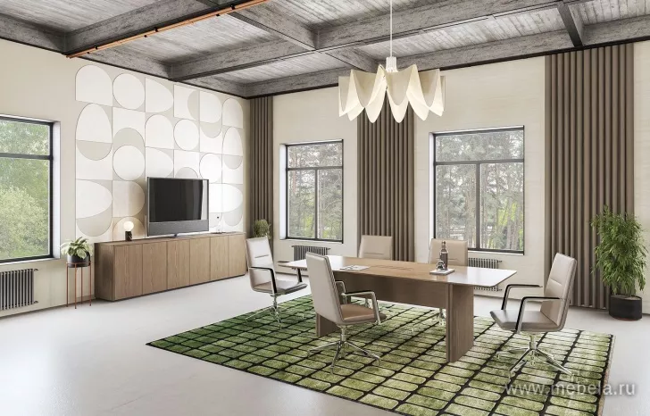 Кабинет руководителя Ion