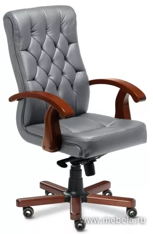 кресло Darwin B