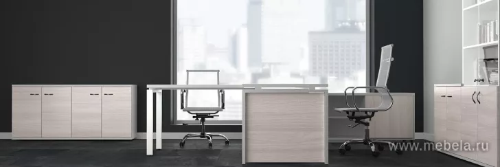 кабинет Steel Evo