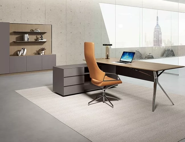 фото кабинет Ares Lux №3