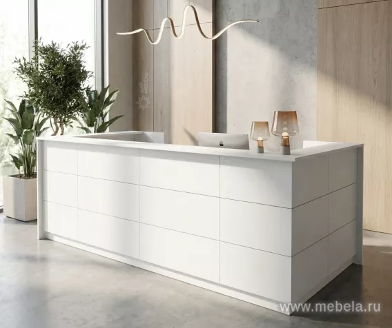 ресепшн Steel White