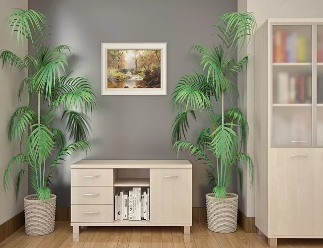 фото кабинет First Maple №5