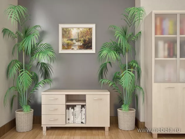 кабинет Фёст Клён 