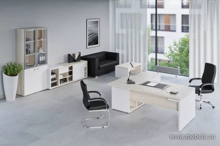 кабинет Zion Light