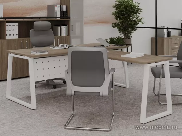 кабинет Project Elm T