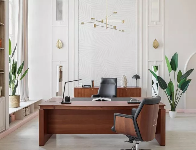 фото кабинет Лаго Орех №5