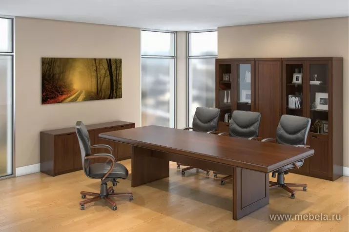 кабинет Princeton