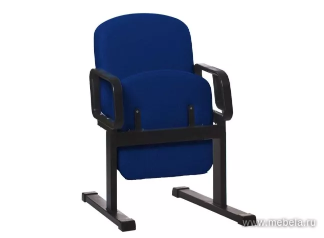 секции Камилла