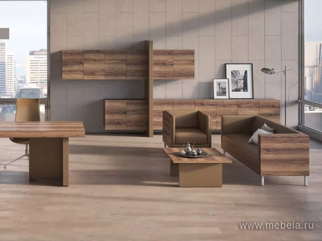 кабинет руководителя Era