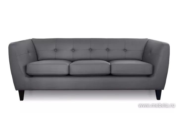 Офисный диван Roman