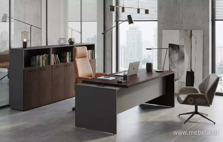 кабинет Кортез Венге